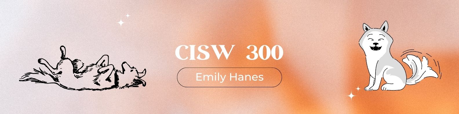 CISW 300 Banner